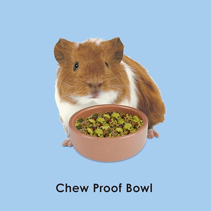 Kaytee Stoneware Ceramic Pet Hamster Bowl, Brown, 3-Inch (Pack of 2)