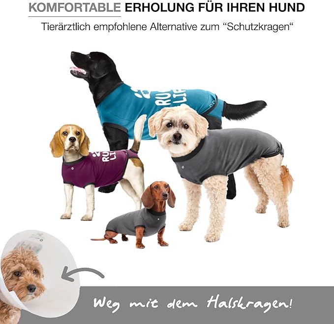 BellyGuard Dog Surgery Recovery Suit, Dog Onesie for Post-Op Care, Recovery Apparel for Female and Male, Surgical Body Cover for Canine Healing Support
