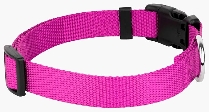 Country Brook Petz - Deluxe Nylon Dog Collar and Leash - 10+ Cool Colors (1 Inch, Large, Fuchsia)