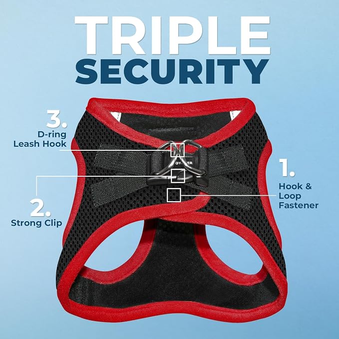 Best Pet Supplies Voyager Step-in Air All Weather Mesh Harness and Reflective Dog 5ft Leash Combo with Neoprene Handle, for Small, Medium and Large Breed Puppies - Set (Red Trim), Medium