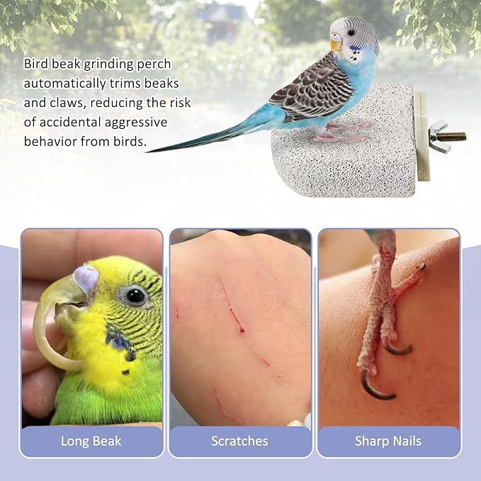 BNOSDM 6 Pcs Small Natural Parrot Beak Grinding Stone Parakeet Chew Toy Calcium Parrot Perch Stand Bird Cage Accessories for Budgies, Cockatiels, Conures, Lovebirds, Canary