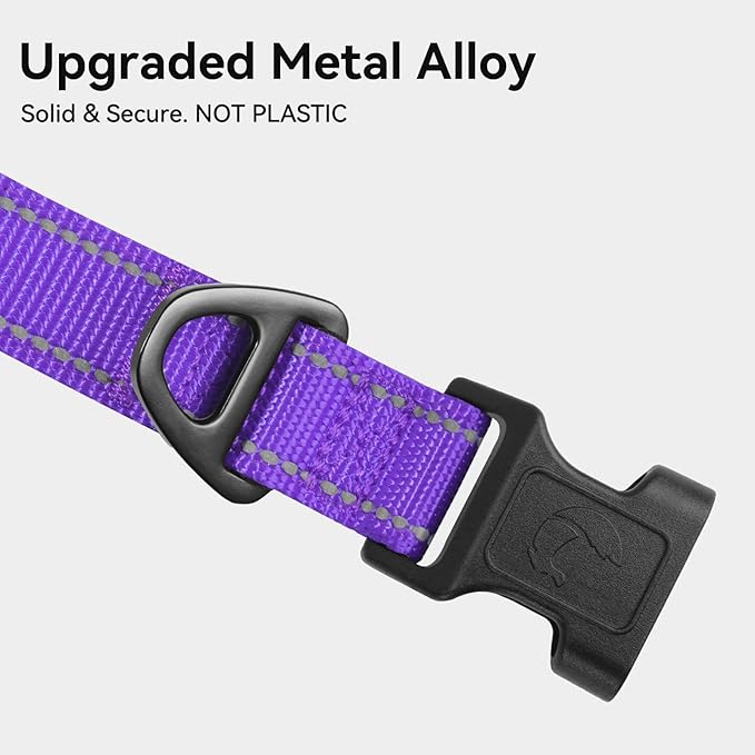 Joytale Reflective Dog Collar, Soft Neoprene Padded, Metal D-Ring, Nylon Pet Collar Adjustable for Extra Large Dogs, Purple, XL