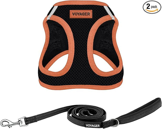 Best Pet Supplies Voyager Step-in Air All Weather Mesh Harness and Reflective Dog 5ft Leash Combo with Neoprene Handle, for Small, Medium and Large Breed Puppies - Set (Black/Orange Trim), Medium