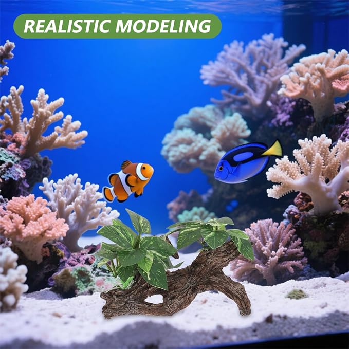 DECHOUS 4Pcs Aquarium Driftwood Decorations - Natural-Looking Driftwood Hideout Cave for Betta Fish and Shrimp Freshwater Fish Tank Decor for Aquascaping Durable Water-Resistant Aquarium Ornaments