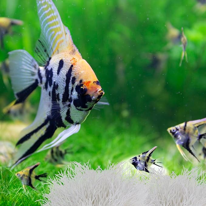 2pcs Aquarium Plants Decorations Artificial Fish Tank Plants Fish Tank Decorations Plastic Fishes Tanks Accessories Small Large Aquarium Decoration Plastic Artificial Plant(White)