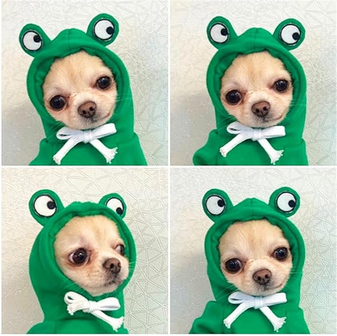 Warm Dog Winter Clothes Cute Fruit Dog Coat Hoodies Fleece Pet Dogs Costume Jacket for French Bulldog Chihuahua Ropa para Perro(Green,XL)