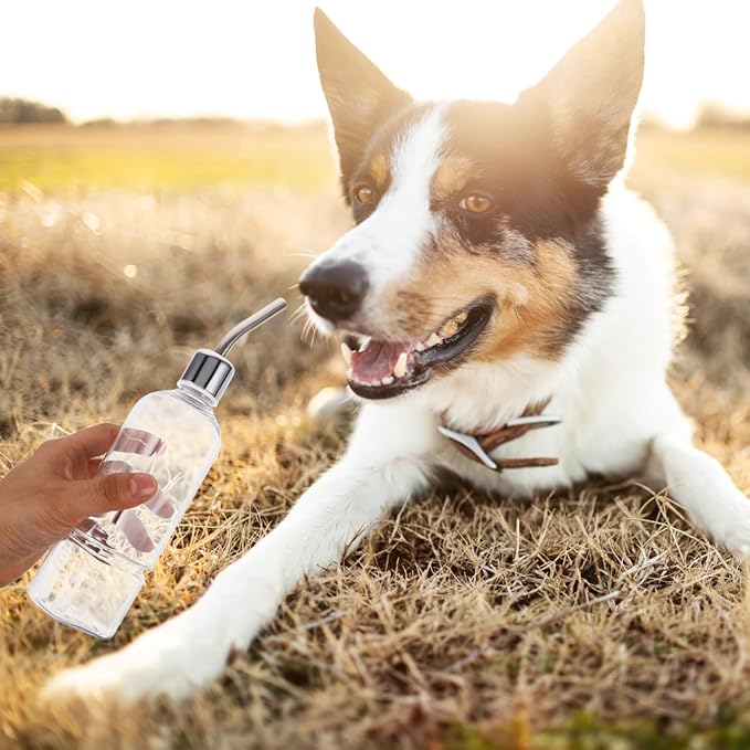 Baluue Small Animal Water Bottle 350ml Stainless Steel – No-Drip Leak-Proof Automatic Dispenser – for Wire Cages for Guinea Pigs Hamsters Rabbits Ferrets