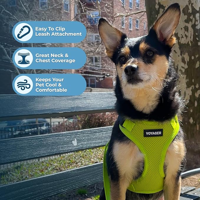 Voyager Step-in Pet Harness - All Weather Mesh, Adjustable Step in Harness for Cats and Dogs by Best Pet Supplies - Lime Green, XL