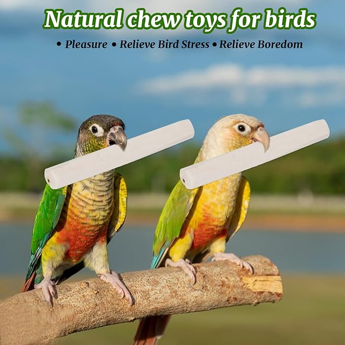10 Pieces Bird Parrot Chew Toy Sola Sticks, Natural Parrot Soft Chew Shredding & Foraging Toy, Bird Foot Toys for Cockatiel Conure Quaker Budgie Parakeet Bunny Guinea Pig Chinchilla Rabbit