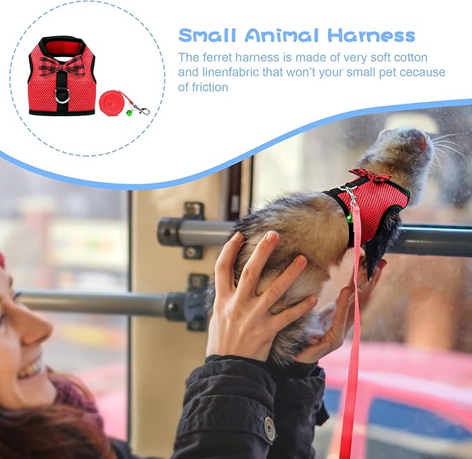 Rypet Small Animal Harness and Leash - Soft Mesh Pet Harness with Safe Bell, No Pull Comfort Padded Vest for Small Pet Red M
