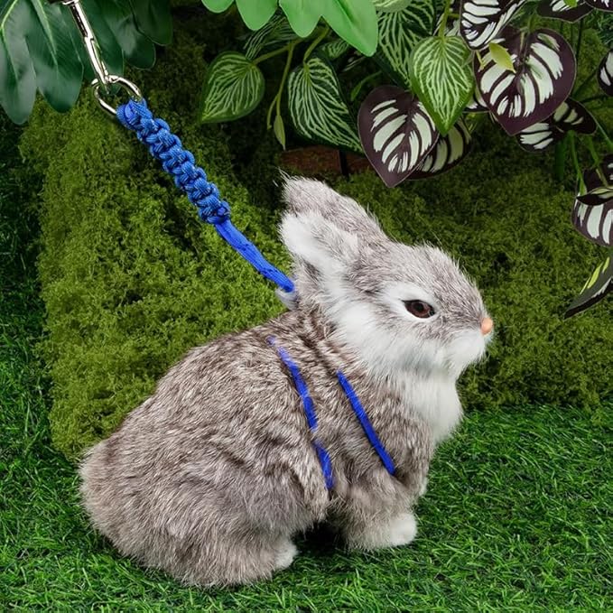 [3-Piece Set] Escape Proof Small Pet Harness and Leash - 10ft (3m) Retractable Lead & 2 Adjustable Rope Vests for Kittens, Ferrets, Rabbits, Guinea Pigs & Small Pets