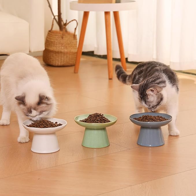 Wide Shallow 6.1" Raised Cat Bowls, Ceramic Elevated Food Bowl for Flat Faced Cats and Small Dogs, Porcelain Feeder Bowl, Stress Free, Protect Cat’s Spine, Green