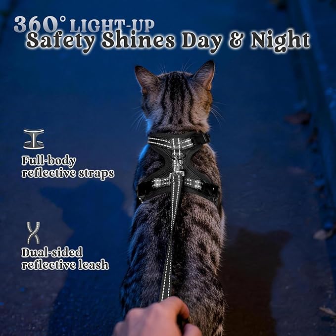 rabbitgoo Cat Harness and Leash, Escape Proof Vest with 3 Adjustable Buckles, Soft Comfortable Kitten Harness, Easy to Wear, Reflective for Safe Outdoor Walking, Small, Black