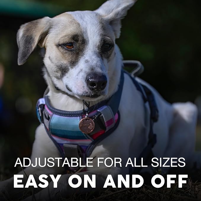 Embark Adventure Large Dog Harness – No-Pull, Reflective Trim, Military-Grade Nylon, Front Clip with Gel-Lined Handle, Soft & Padded, Suitable for All Breeds