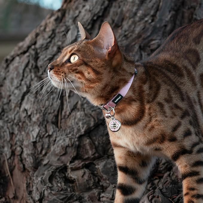 Red Dingo Classic Safety Release Breakaway Premium Cat Collar – Adjustable One Size Fits All with Soft Nylon Webbing, 4.4lb Safety Release Fish Clip, Stainless Steel D-Ring, Wildlife Bell – Pink