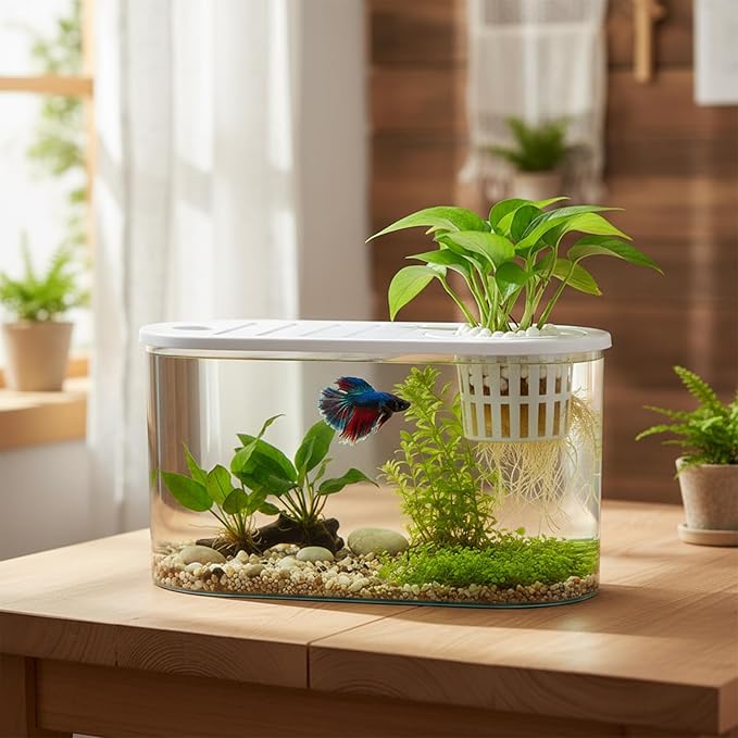 1.2 Gallon Betta Fish Tank, Desktop Aquarium with Lid & Plant Basket, Shatterproof Plastic Fish Bowl for Home Office Dorm Decor
