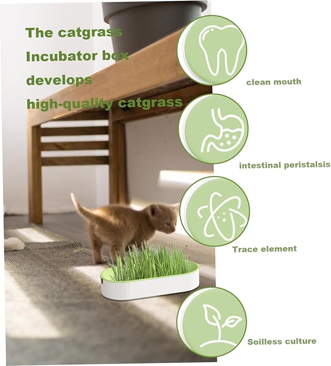 Cat Grass Planter, 8.2inch Self Watering Cat Grass Planting Container, Hydroponic Cat Grass Growing Kit, Cat Grass Sprouting Trays for Sprouts