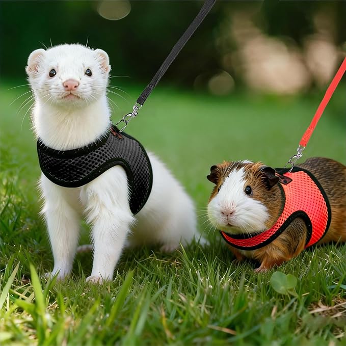 Rypet Small Animal Harness and Leash - Soft Mesh Pet Harness with Safe Bell, No Pull Comfort Padded Vest for Small Pet Black + red S