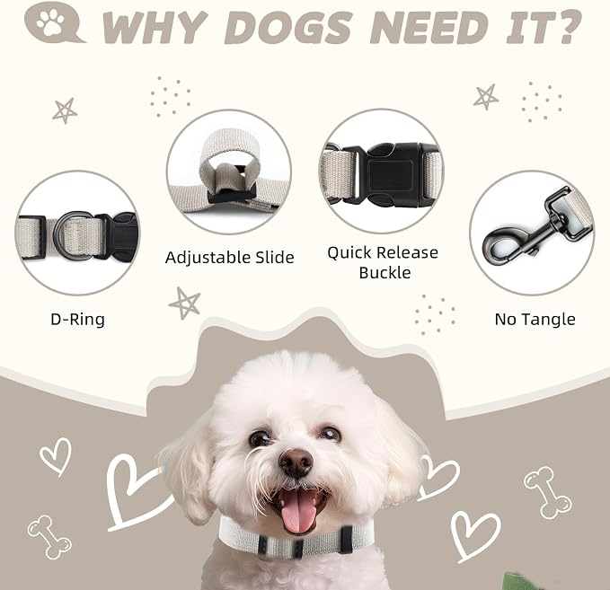 Beidge Dog Collar and Leash Set for Small Dogs, Breathable, Anti-Odor & Soft, Comfortable for Sensitive Skin Puppies, 90% Bamboo Rayon, Quick Release Buckle Pet Collar for Chihuahuas Frenchie
