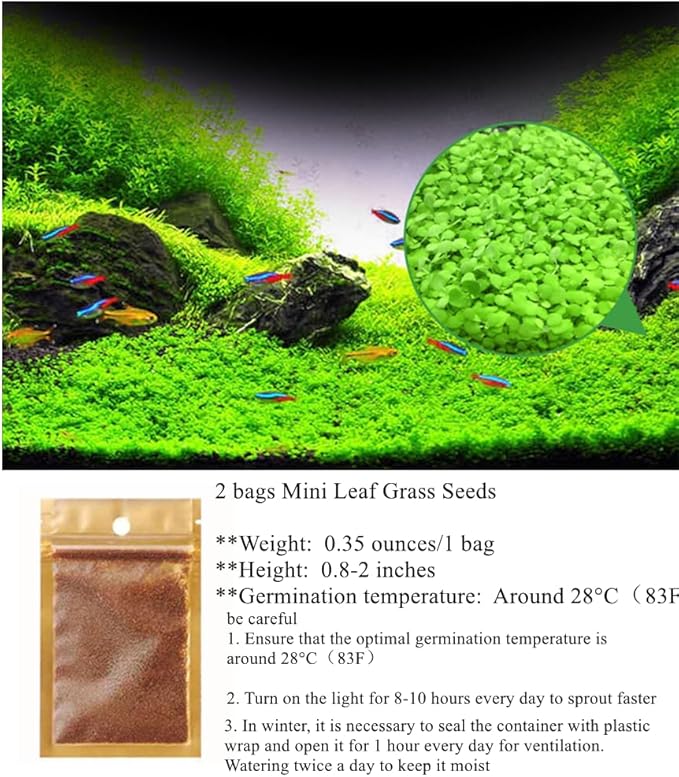 2 Pack Aquarium Plants for Fish Tank Easy Growing Real Carpet Decor for Fish Tank