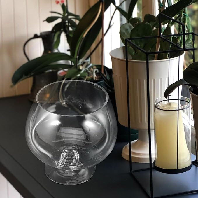 GANAZONO Clear Glass Goldfish Tank 17cm | Multi-function Desktop Aquarium for Betta Fish Decorative Fish Supplies Unique Design Pet Material for Home Decor