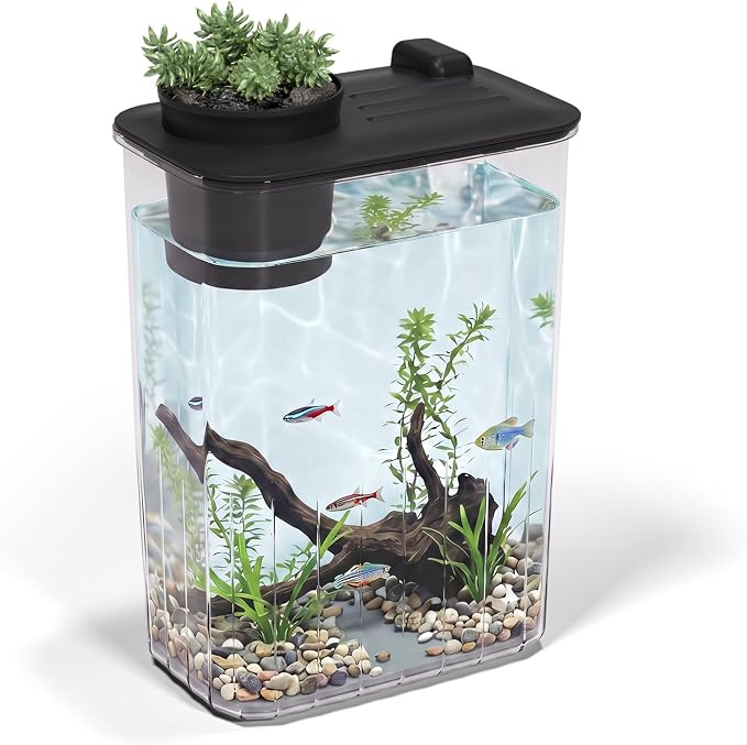 1 Gallon Betta Fish Tank Aquarium Starter Kit with Light and Lid(Black) | Premium Acrylic Aquarium with Light and Lid, Crystal Clear Starter Kit for Betta Fish, Shrimp, Snails and Small Fish