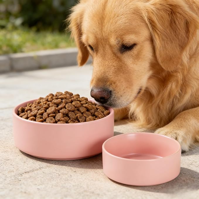 61 oz Ceramic Pet Bowl, Non-Slip Anti-Skid Base, Easy Clean Food & Water Feeder for Large Dogs & Cats – Pink