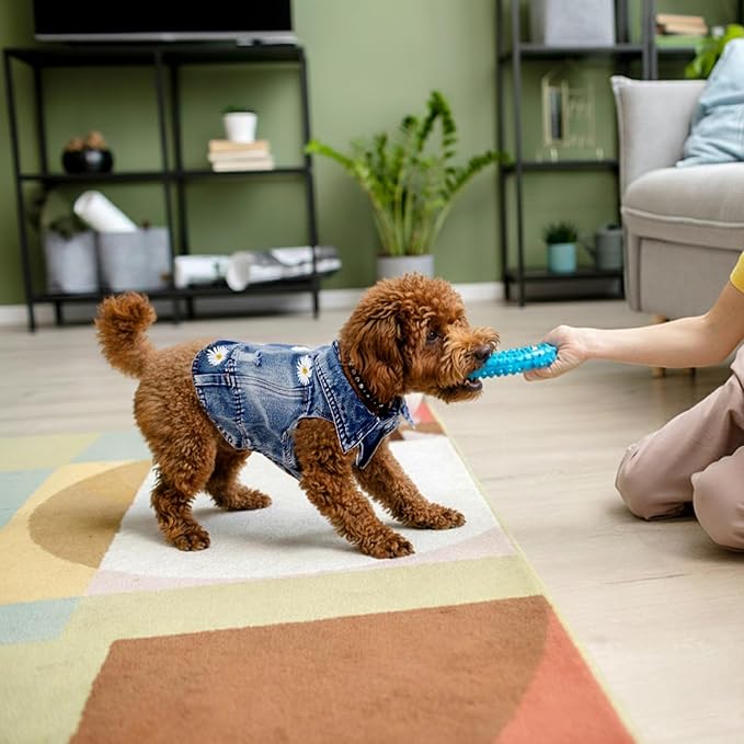 Pawstrip Dog Denim Jacket with Embroidered Daisy, Ripped Vintage Jean Vest for Small Dogs, Puppy, Pugs, Chihuahuas, Spring Summer Fall Festival Outfit, Small (Fits Chest 11-12")