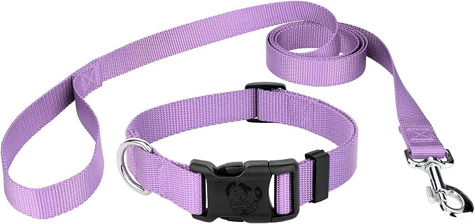 Country Brook Petz - Everyday Nylon Dog Collar and Leash - 10+ Cool Colors (3/8 Inch, Extra Small, Lavender)