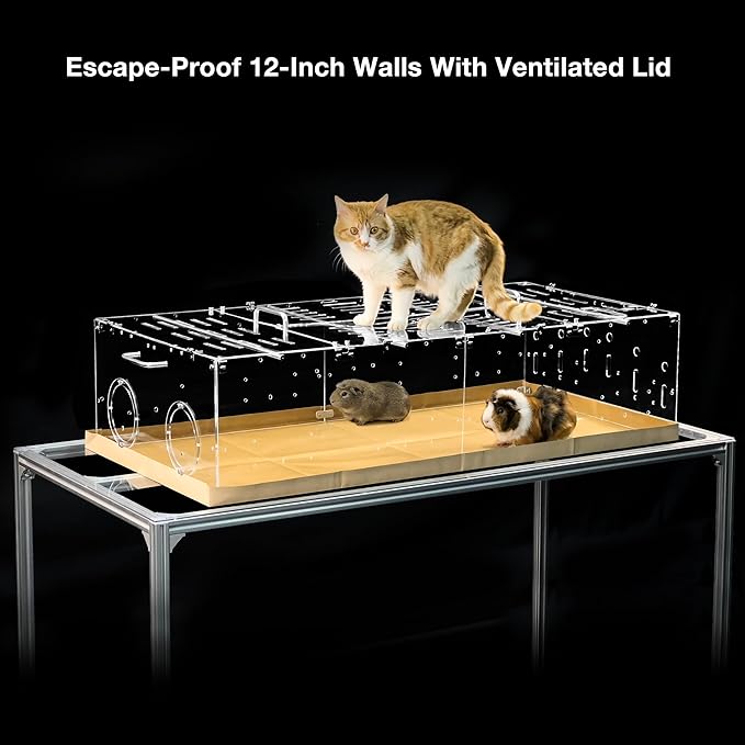 GuineaLoft™ Model-A1 Acrylic Guinea Pig Cage w/Clear Acrylic Lid, Supporting Beams & Connecting Doors - Large 4ft(L) x 2ft(W) x 1ft(H) Expandable C&C Cage, Also for Bunnies, Button Quails, Hedgehogs