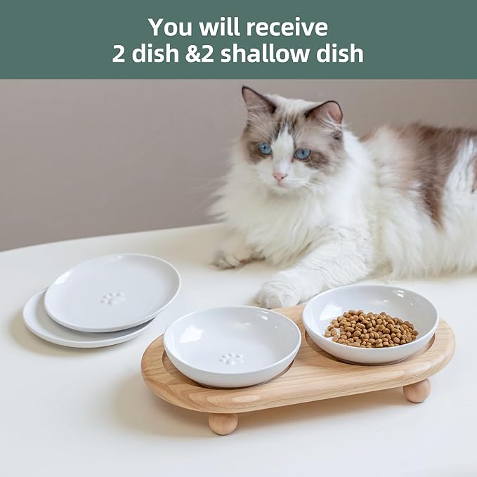 Havniva Elevated Cat Bowls, Ceramic Cat Food Bowl Whisker Friendly Cat Dishes, Kitten Food & Water Bowl with Two Heights Stand, Anti-Slip Raised Cat Food Plates