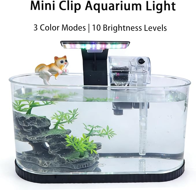 Fish Tank Kit, Small Aquarium Starter Tank with Filter and Light, PC Nano Desktop Tank with Color-Changing LED & Decor - Complete Starter Kit for Betta Fish Shrimp Guppy Goldfish Beta