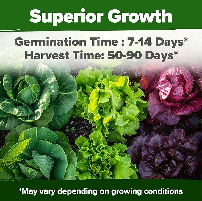 HOME GROWN Lettuce Seeds 8 Variety Mix 9000+ Bulk Pack Heirloom Non-GMO, High Germination, Romaine, Bibb, Buttercrunch, Leafy Greens,Indoor Outdoor Hydroponic Garden, Cut & Come Again (Lactuca sativa)