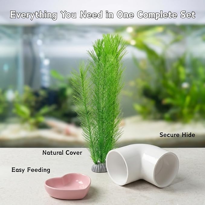 Axolotl Hide Tube with Feeding Dish & Silk Plant, 3-Piece Aquarium Set | Fish Tank Cave Decor for Axolotls, Shrimp & Small Fish, Includes Artificial Plant and Feeding Bowl (White, Large)