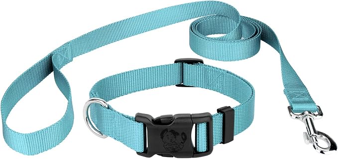Country Brook Petz - Everyday Nylon Dog Collar and Leash - 10+ Cool Colors (1 Inch, Extra Large, Ocean Blue)
