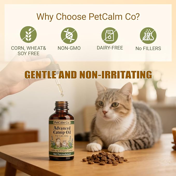 PetCalm Co Advanced Catnip Oil - 5000 mg Catnip, Vet Formulated, for Cats Only, Cat Relaxation Supplement (2.1 fl oz)