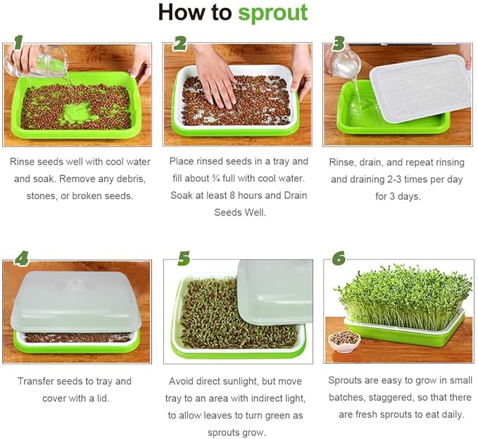 SUNPRO 2-Pack Seed Sprouter Tray with Humidity Lid, BPA Free Food Grade Soil-Free Sprouting Kit, Large Capacity Wheatgrass Grower & Microgreens Germination Station for Beans, Peas, Cat Grass (Green)