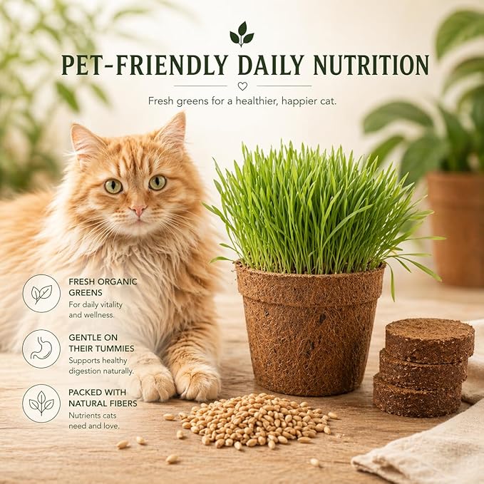 Cat Grass Kit for Indoor Cats - Organic Cat Grass Growing Kit (3 Pack) with Soil Discs, Coco Fiber Pots & Organic Seeds - Natural Hairball Control & Digestion Remedy