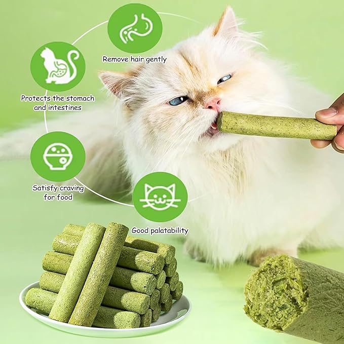 Cat Toys 6Pack Kitten Grass Treat Stick Catnip Toy with Silvervine for Indoor Kitten Toys Kitten Grass Sticks for Teeth Cleaning Cat Snack for Kitty Dental Care