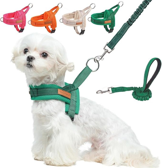 BEAUTYZOO Dog Harness for Small Dogs, No Pull Dog Harness and Leash Set, Soft Escape Proof Puppy Vest Harness with Handle, Reflective Lightweight Step in Harness for Girl Boy Dogs, Green XS