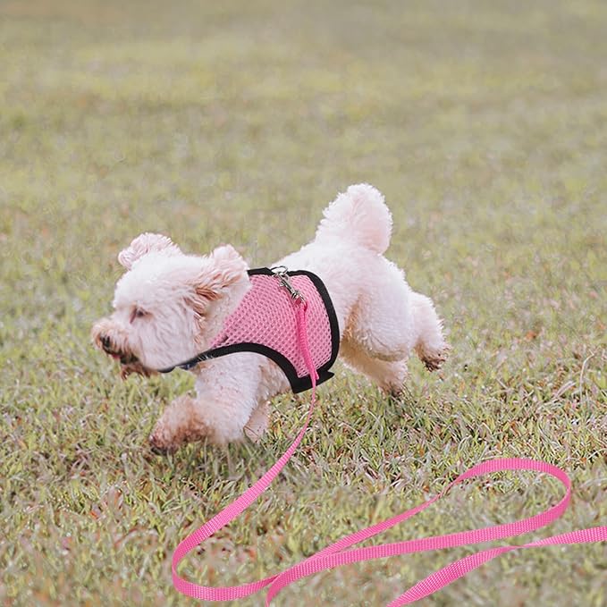 YARNOW 2pcs Adjustable Small Pet Harness Leash Set for Rabbits and Guinea Pigs – Breathable Mesh Vest, Medium Size, Outdoor Walking and Training Safety Gear