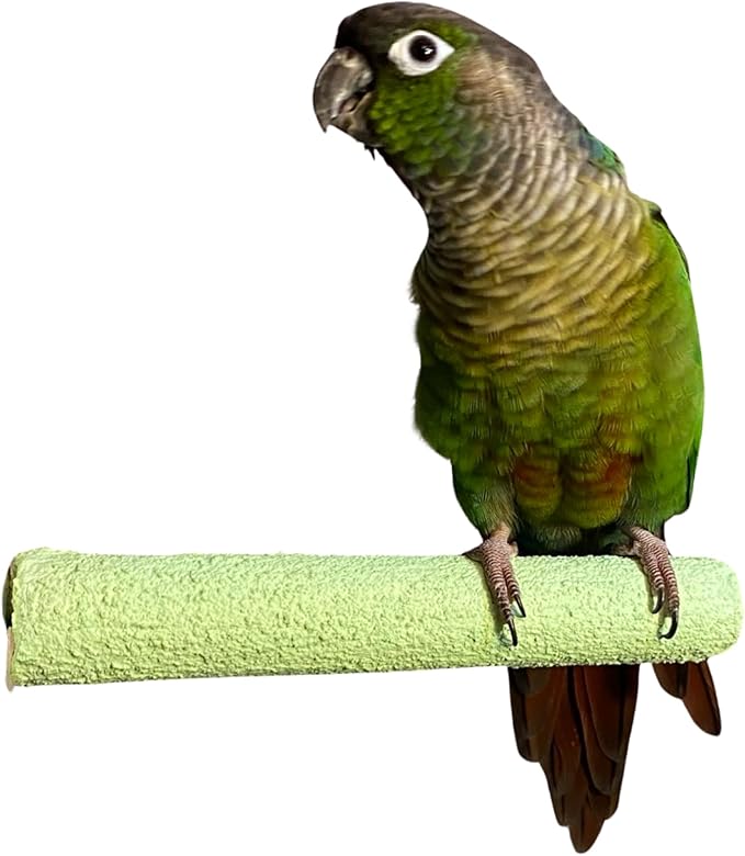 Polly's Pastels Nail Trimming & Beak Conditioning Safety Perch for Cockatiels, Cockatoos, Macaws, Parakeets, Budgies, Parrots and All Other Birds (Green, Small-1" Dia. x 6" Long)