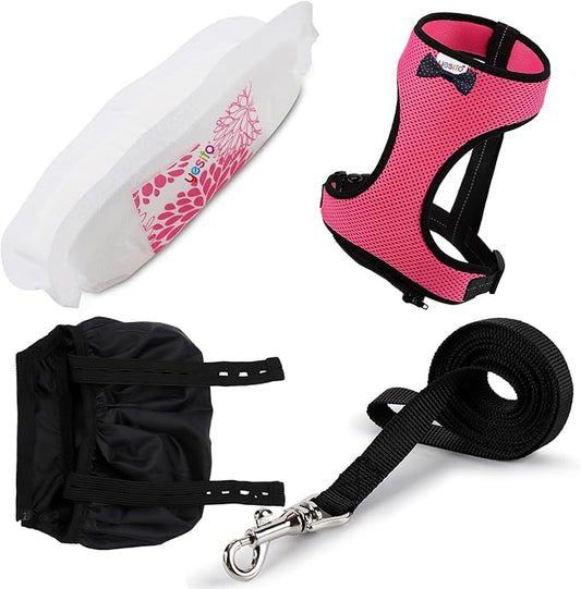 Adjustable Chicken Harness & Diaper with 5.4ft Leash | Escape-Proof Breathable Mesh | Outdoor Walking Training for Hens Ducks & Chicks | Stop Droppings & Feather Mess