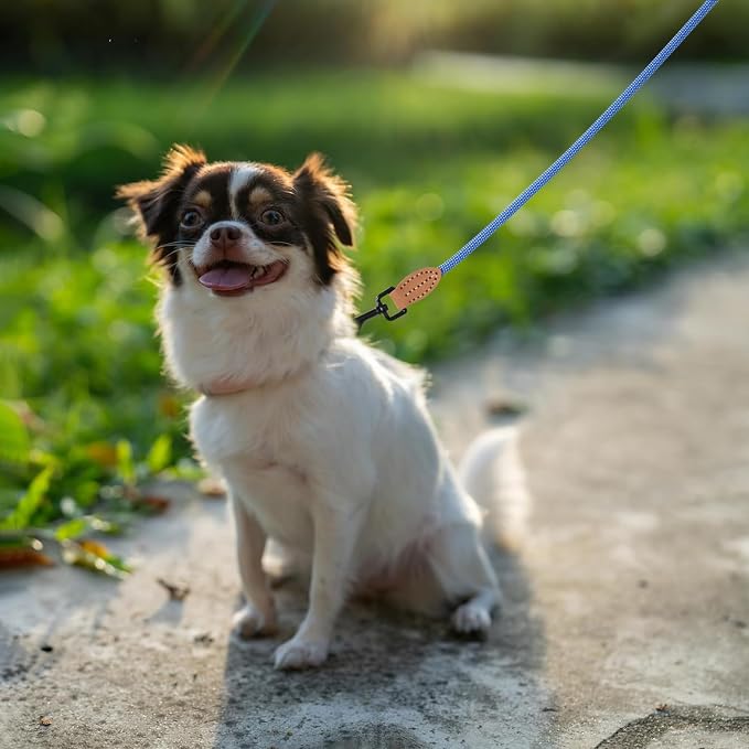 Mile High Life Small Dog Leash, Thin Rope Leash with Genuine Leather Connection and Heavy Duty Metal Clasp, Great for Small Medium Dogs(Blue White,48 Inch-1/3)