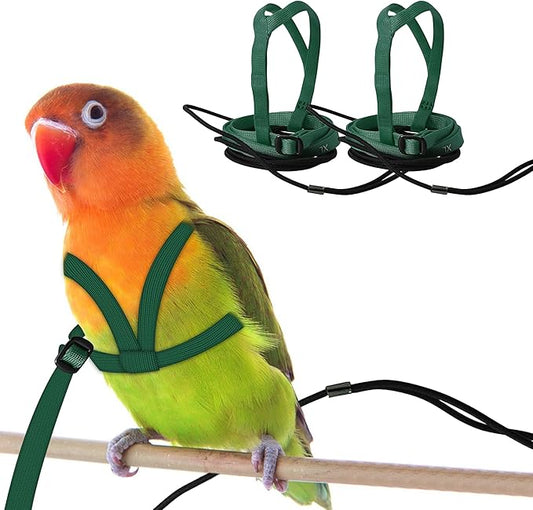 2 pcs Pet Parrot Bird Harness and Leash, Adjustable Training Design Anti-Bite, Outdoor Flying Training Rope Kit for Bird Parrots Fits Birds Chest Between46-76cm /18.11-29.92inch - XL (Green)
