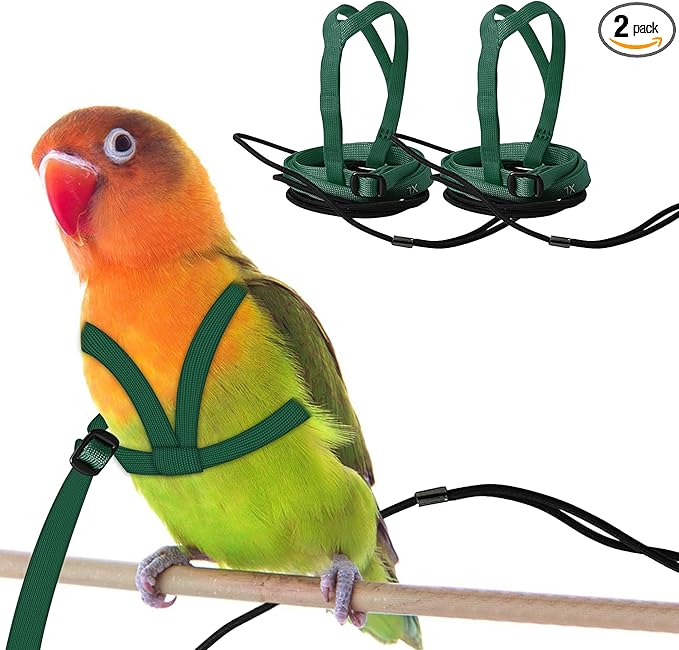 2 pcs Pet Parrot Bird Harness and Leash, Adjustable Training Design Anti-Bite, Outdoor Flying Training Rope Kit for Bird Parrots Fits Birds Chest Between35-62cm /13.78-24.41inch - L (Green