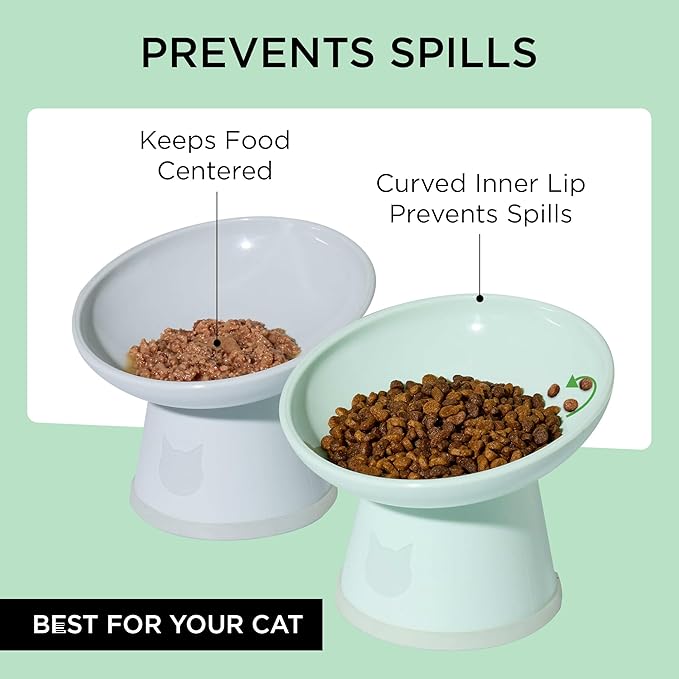 Necoichi 2pcs Tilted Elevated Cat Food Bowls BPA-Free Plastic 15° Tilted Raised Cat Bowl for Whisker & Neck Fatigue, Dishwasher Safe Non-Slip & Anti-Vomiting Ergonomic Design (Smoky Mint)
