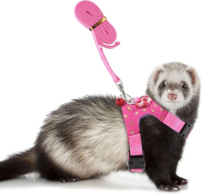 Small Pet Harness Vest and Leash Set with Bowknot and Bell Decor for Gerbil Guinea Pig Squirrel Kitten Outdoor Walking (M, Pink Star)