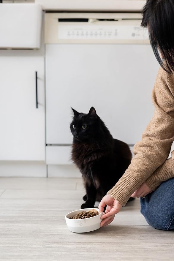 Pearhead Paws Off Ceramic Cat Bowl, Holds 1.3 Cups, Small Food and Water Bowl for Cats, Pet Dish, Microwave and Dishwasher Safe (Pack of 2)
