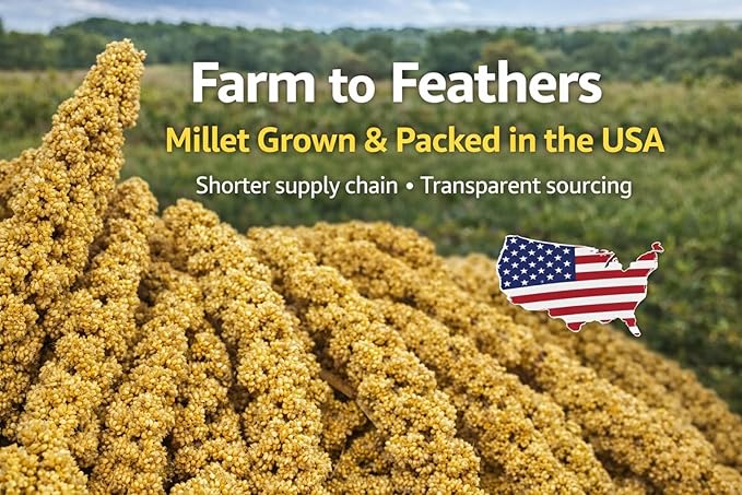 Farm to Feathers™ Economy & Thin Spray Millet with Cuttlebone Bundle – USA Grown Millet Sprays for All Birds, Cockatiels, Lovebirds, Parakeets, Finches – 7 Ounce (Pack of 1) + 4" Cuttlebone (4-Pack)